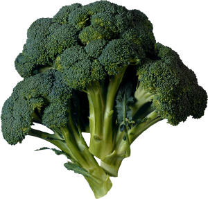 Broccoli PNG image-2827